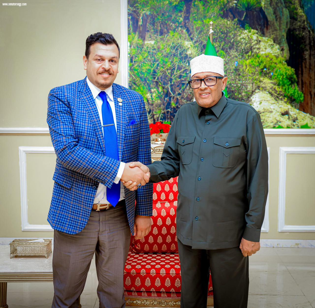 Conseil Supérieur de l'Économie Arabe-Africaine : la rencontre avec le président du Somaliland renforce le sentiment de sécurité des investisseurs