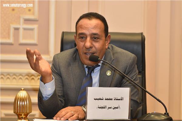 النائب محمد شعيب: رؤية الرئيس السيسي في إدارة الأزمات 