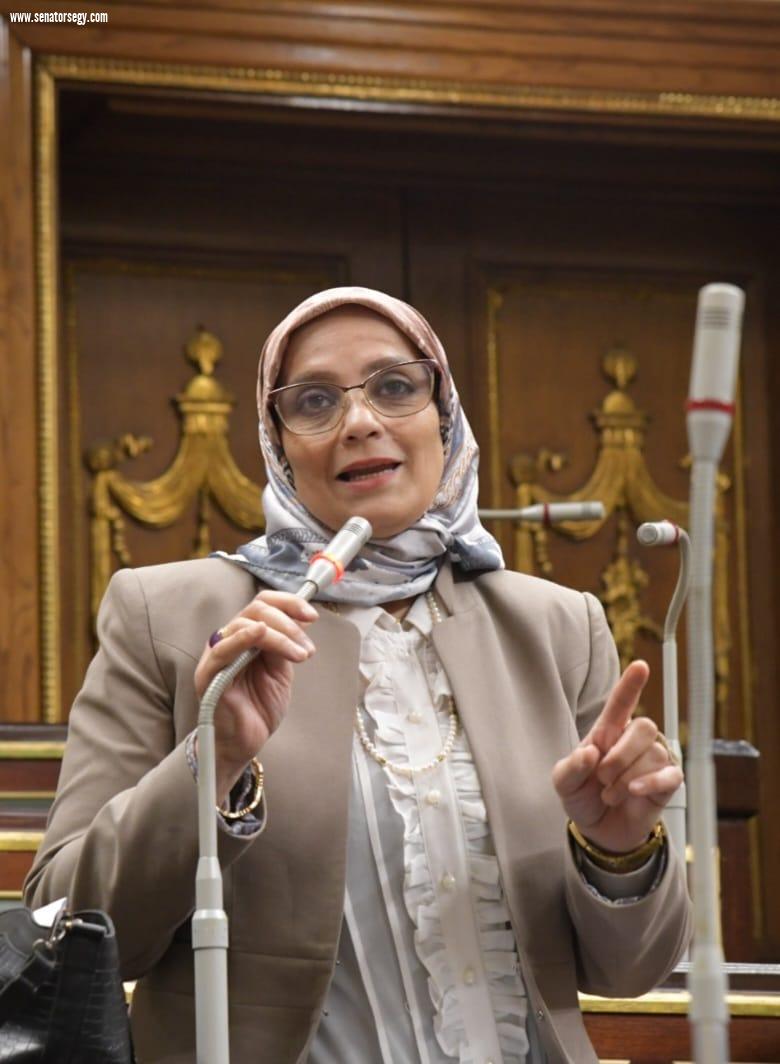 نجلاء العسيلي: نندّد بالوقفات الإخوانية الإرهابية التي تتآمر على مصر من قلب تل أبيب