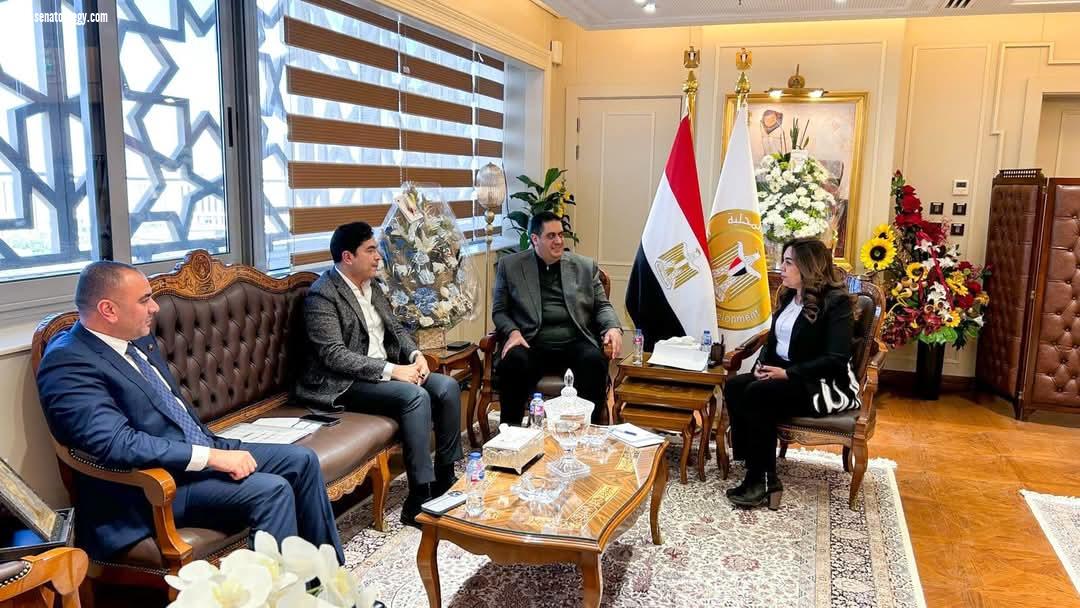 نواب الشيوخ وليد التمامي ومحمد أبو حجازي يتلقيان وزيرة التنمية المحلية لمناقشة عدد من الموضوعات