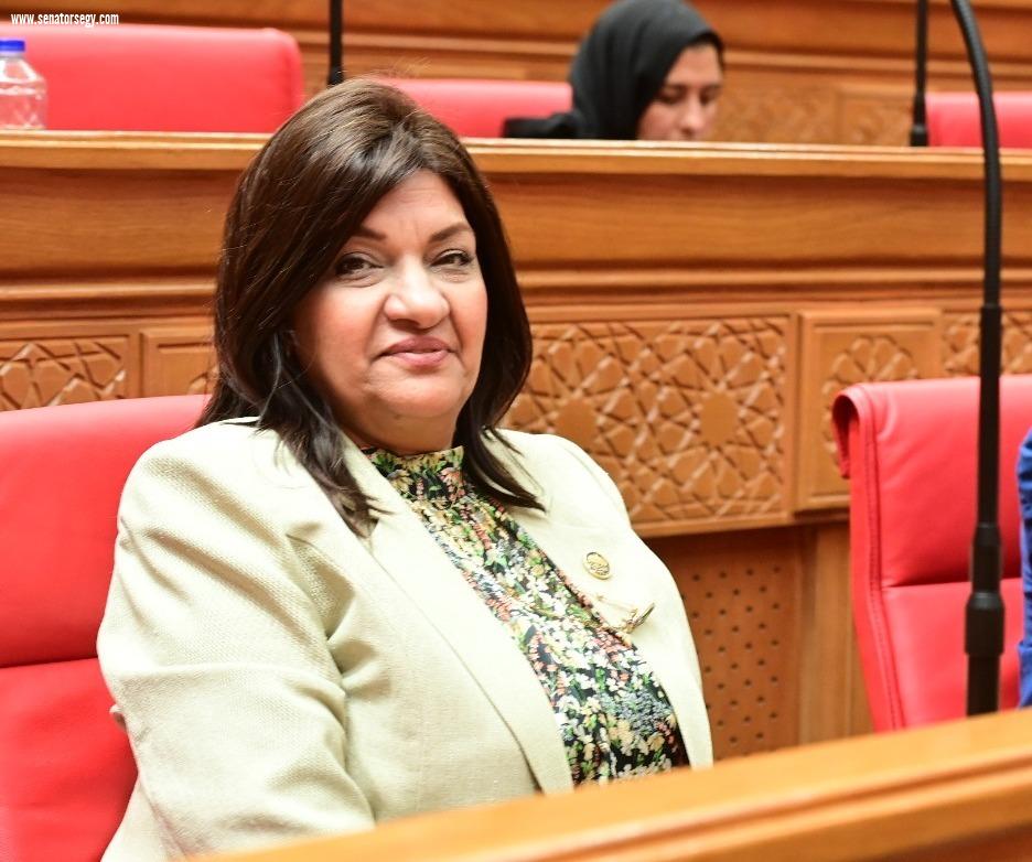 النائبة ايفلين متى تتقدم بطلب إحاطة لوزير النقل بشأن عدم استكمال بعض الطرق وتسببها في إهدار أرواح المواطنين عليها 