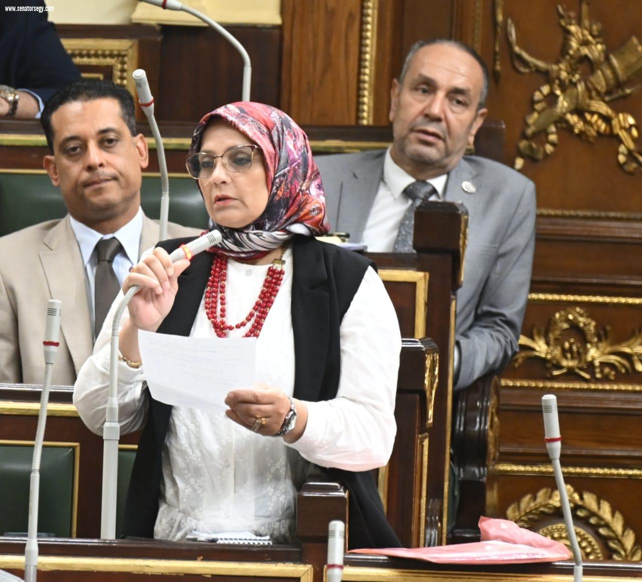 نجلاء العسيلي: كلمة الرئيس في ذكرى يوليو تجديد للعهد الوطني.. وتجسيد لروح الثورة التي تبني ولا تهدم