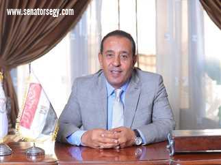 النائب محمد شعيب: الشراكة بين القاهرة والرياض نموذج للتحالف الاستراتيجي العربي