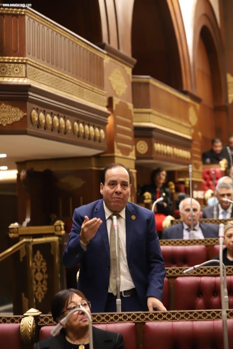 قيادي بحماة الوطن: المقترح المصري القطري بهدنة غزة يقطع الطريق على مخططات الاحتلال