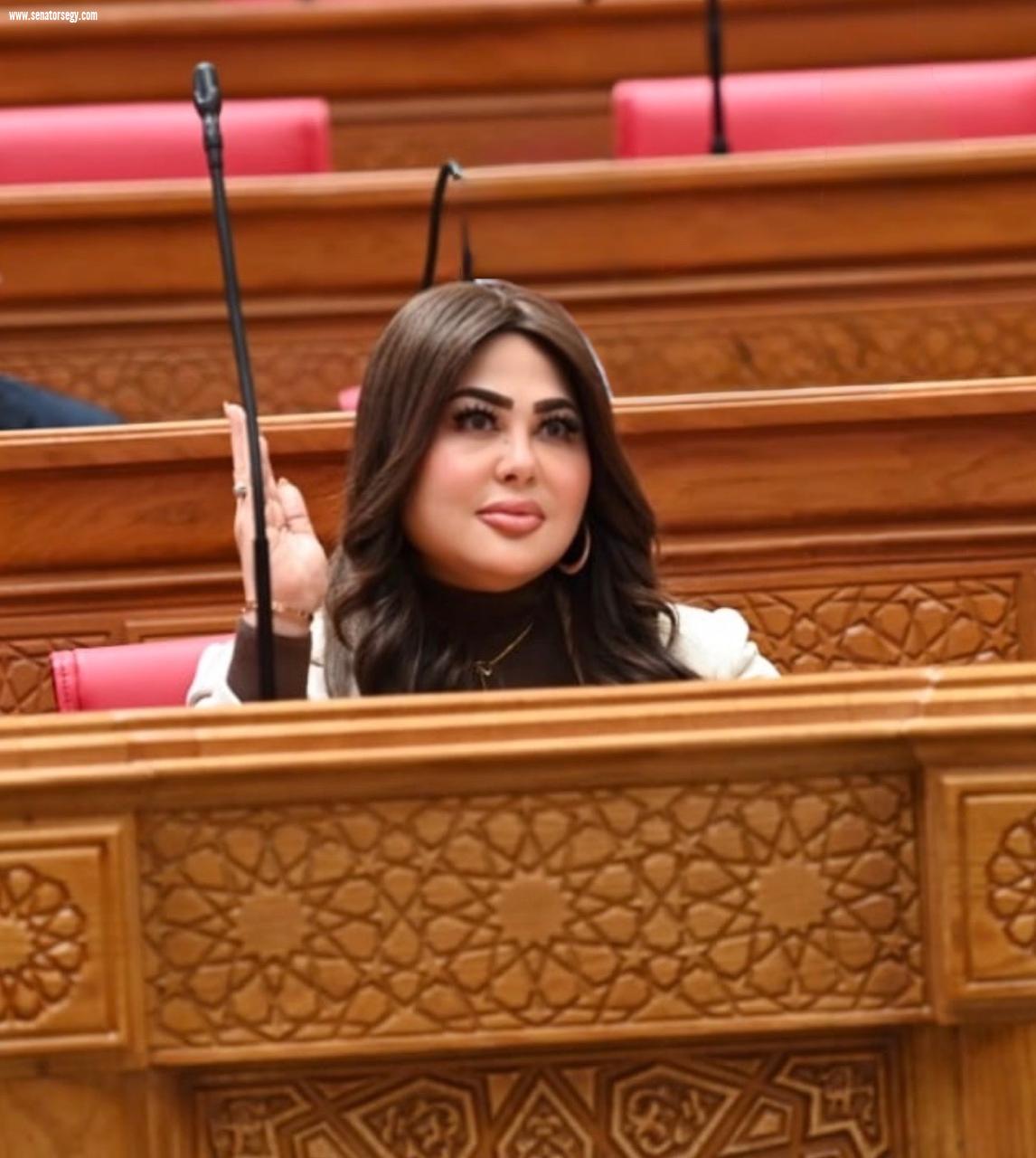 النائبة ولاء الصبان: الرئيس السيسي وضع خارطة طريق لتمكين المرأة ودعم المبدعين