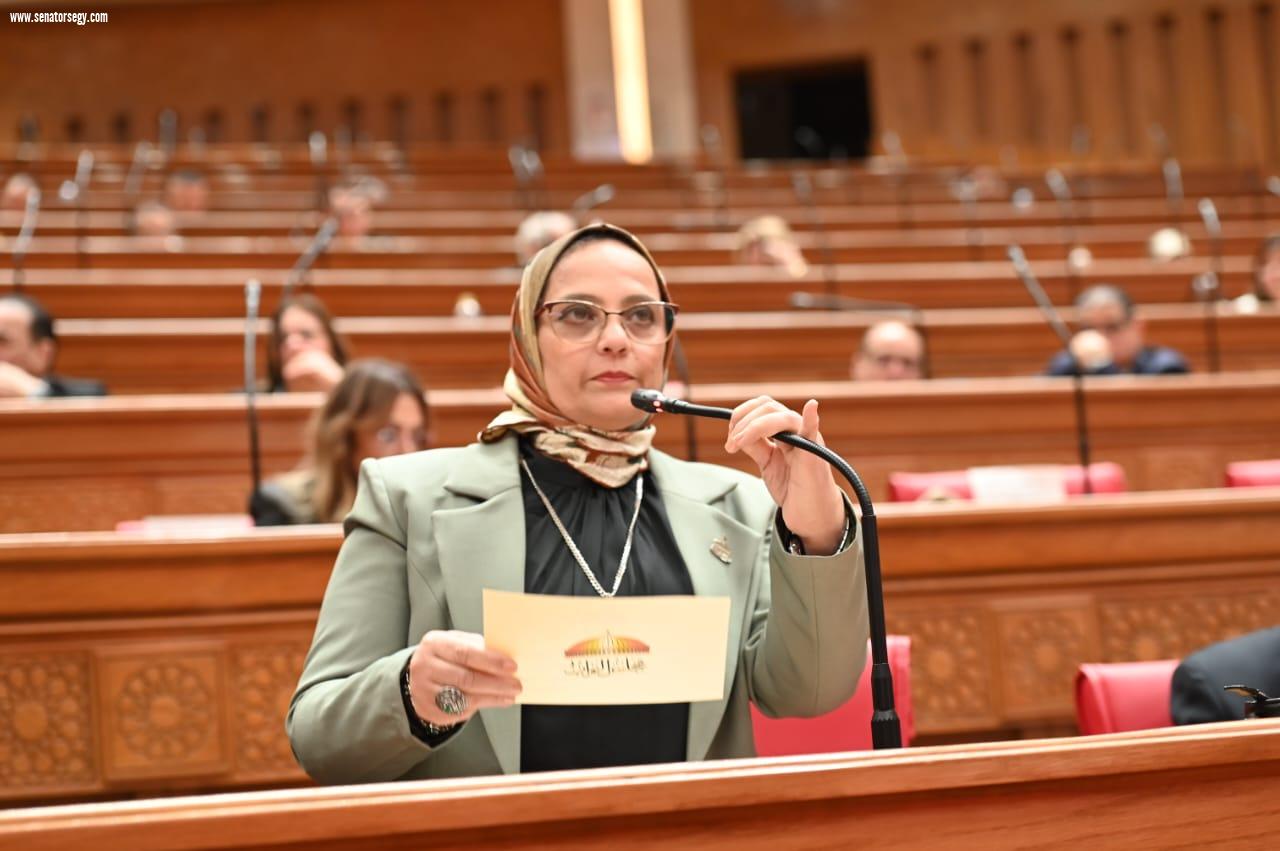 نجلاء العسيلي: قرارات السيسي في عيد العمال توسّع الحماية الاجتماعية 