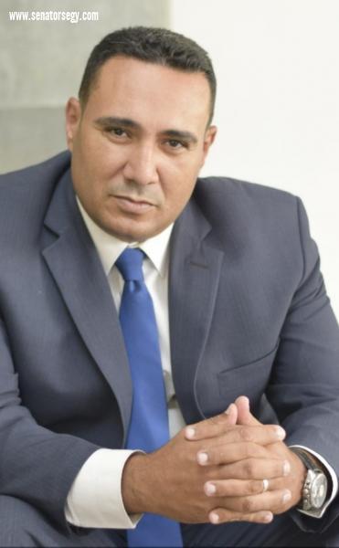 قيادي بحماة الوطن: الموقف المصري الأردني الموحد يُحصّن القضية الفلسطينية من محاولات الالتفاف