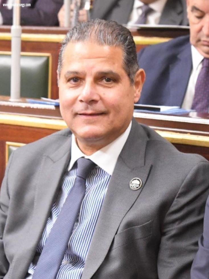 أحمد الخشن: مشاركة المصريين في الداخل والخارج بانتخابات الشيوخ رسالة ثقة في الدولة واستقرارها الأمني