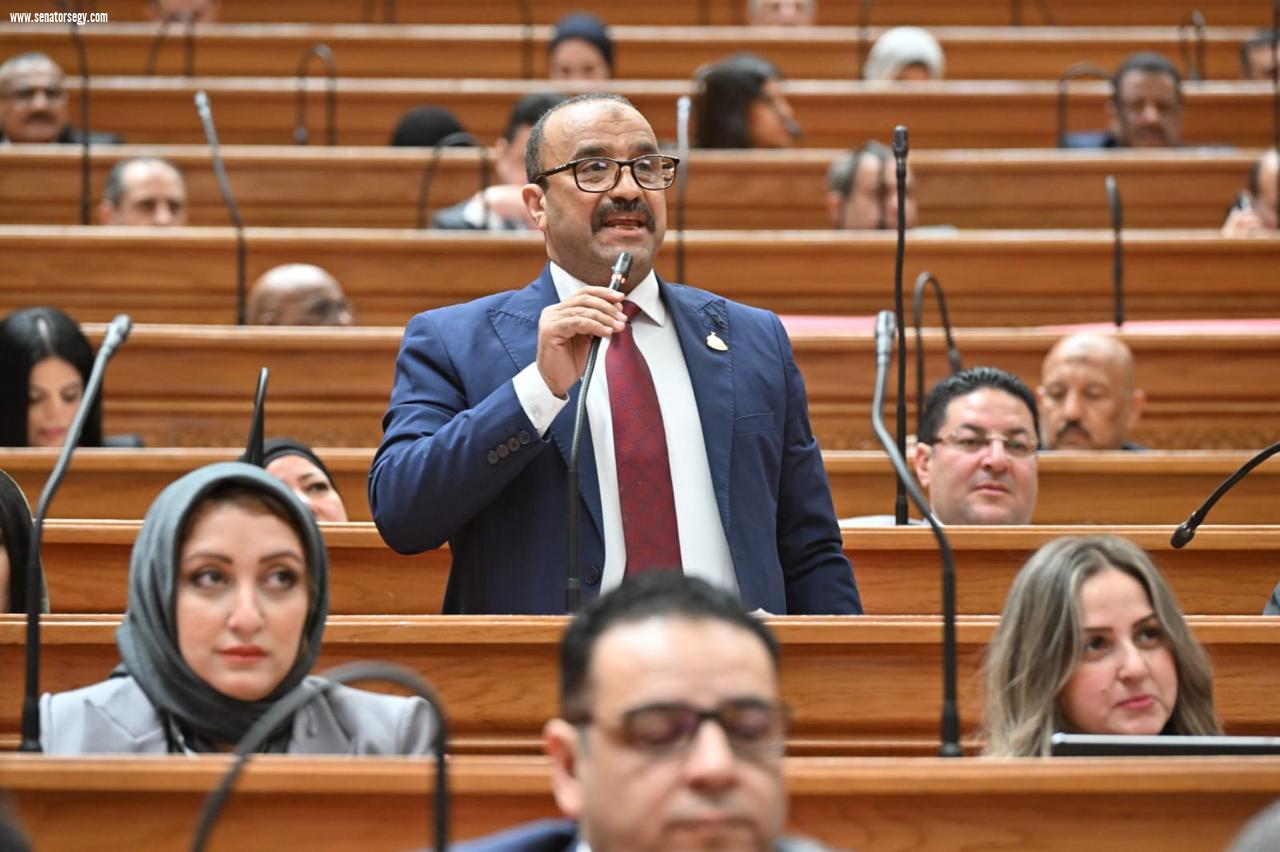 النائب نادي عبد الرسول: قرارات الرئيس تدعم الإنتاج وتفتح آفاق التشغيل