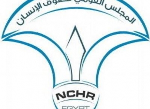 الرئيس عبدالفتاح السيسي يصدر قرارًا بإعادة تشكيل المجلـس القومـى لحقـوق الإنسـان