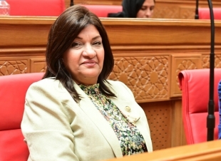 النائبة ايفلين متى تتقدم بطلب إحاطة بشأن نقص العمالة والمهنيين بجميع المصالح المتعلقة بالصناعة