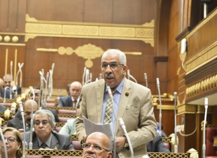 النائب مجدي سليم دينامو أسيوط تحت قبة مجلس الشيوخ