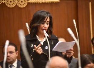 النائبة يوستينا رامي: حديث الرئيس السيسي عن تمكين القطاع الخاص يمثل تحولا نوعيا في فلسفة إدارة الاقتصاد