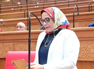 نجلاء العسيلي: العلاقات المصرية الإماراتية صمام أمان للأمن العربي ونموذج ناجح للشراكة الاستراتيجية