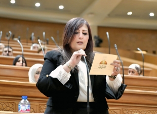 إليزابيث شاكر: بيان مجلسي النواب والشيوخ رسالة حاسمة.. أمن الأشقاء جزء من الأمن القومي المصري
