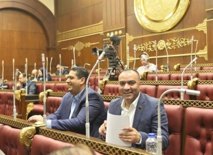 الشيوخ| التمامي وأبو حجازي .. حالة برلمانية فريدة